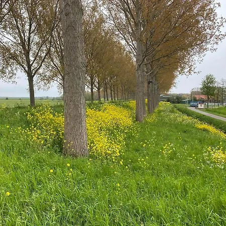 Apartman Benb Voorneputten