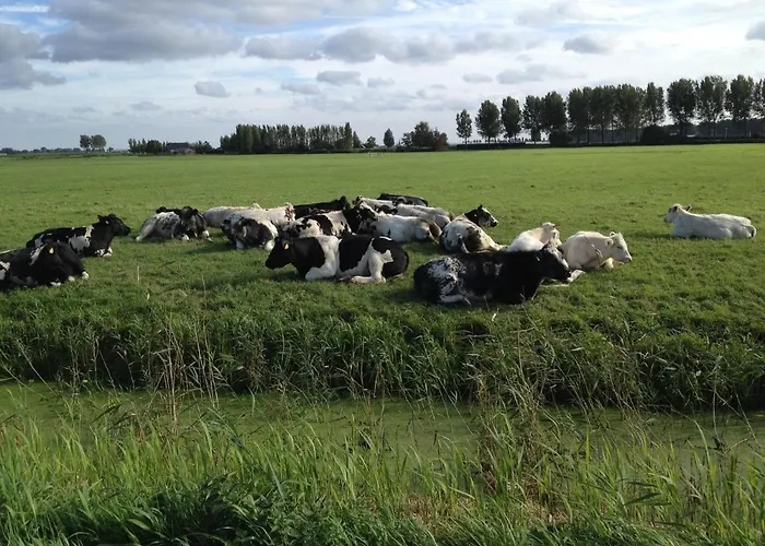 Benb Voorneputten דירה Simonshaven