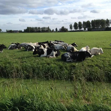 Benb Voorneputten Apartamento Simonshaven