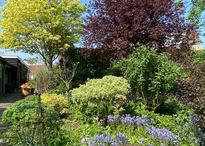 Apartamento Benb Voorneputten